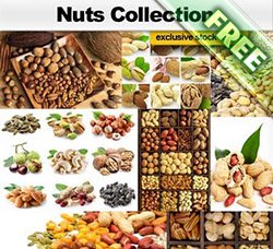 高清果仁干果坚果图片：Nuts Collection